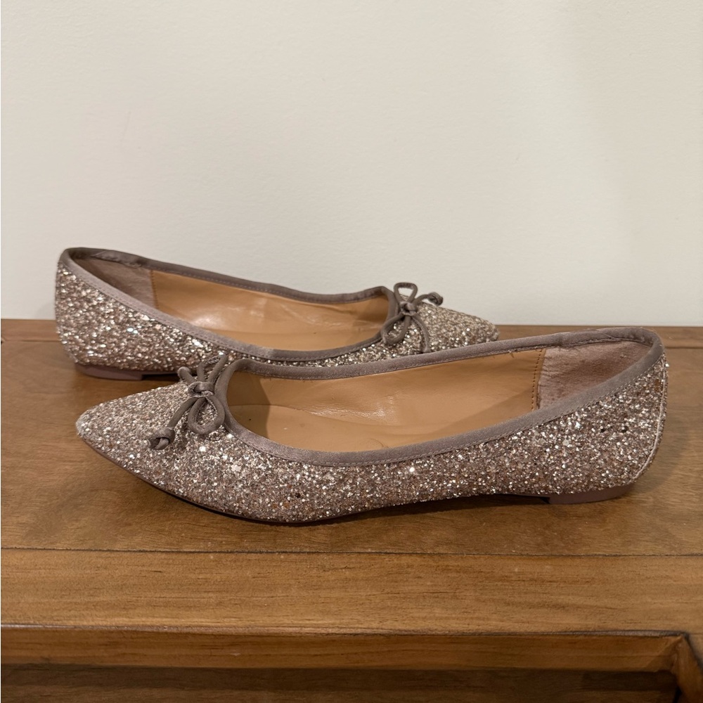 Banana Republic Robin Glitter Ballet Flats Size 8